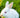 The Tale of Benjamin Bunny