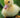 The Tale of Jemima Puddle-Duck