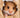 The Tale of Mrs. Tittlemouse
