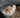 The Tale of Tom Kitten