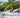 Patos de Chile